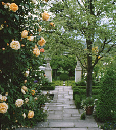Bloomfield House, Christchurch, New Zealand