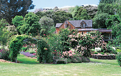 Mill Cottage, Akaroa, New Zealand. Photo by Suzanne Parker