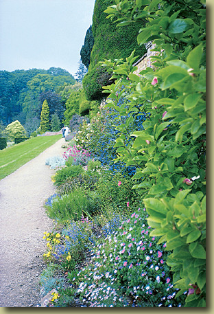 Powys Castle Gardens